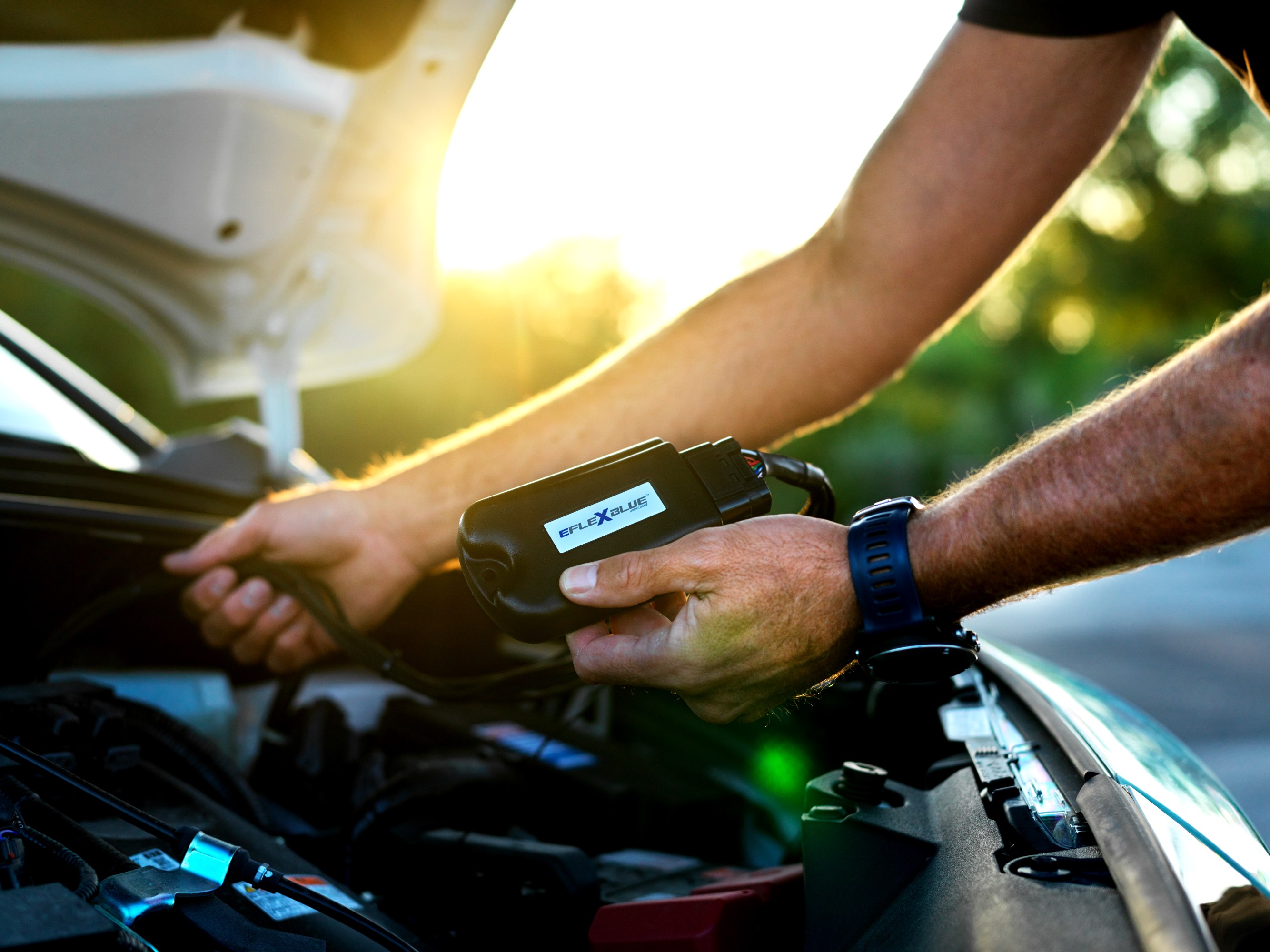 1_0014_prv edit (3000 x 2000).jpg